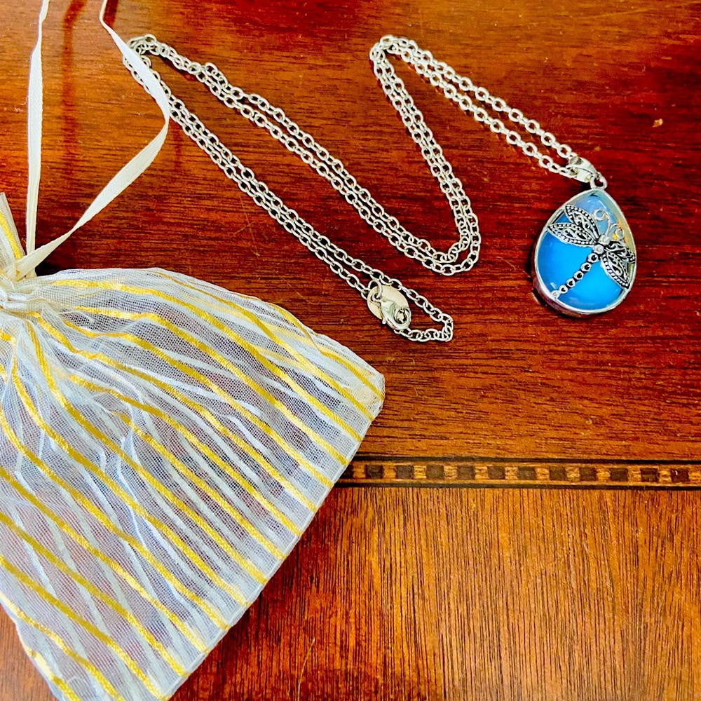🌟Dragonfly silver-tone necklace